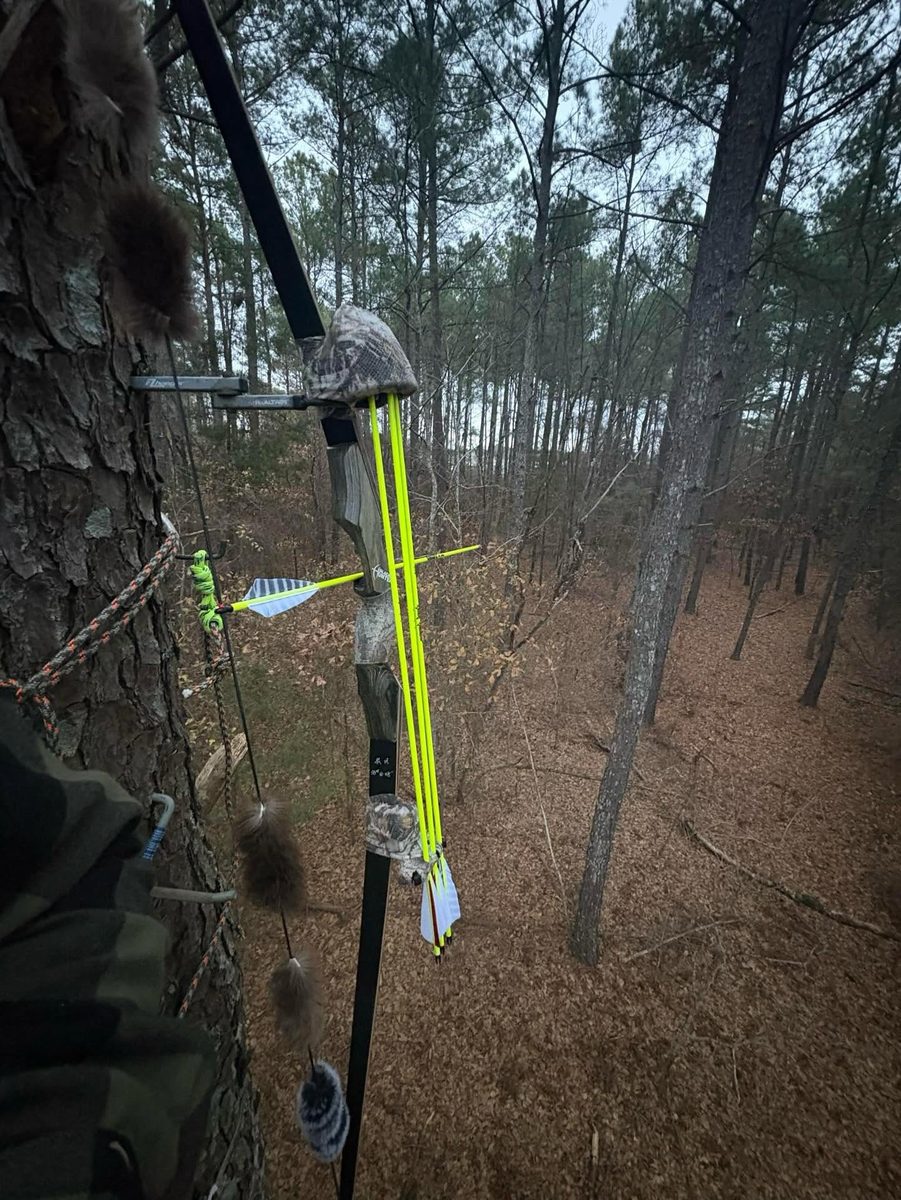 Flo-yellow arrow nocked in a treestand